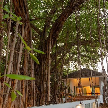 White Banyan Beach Villa, Candolim By The Acacia Villas エクステリア 写真