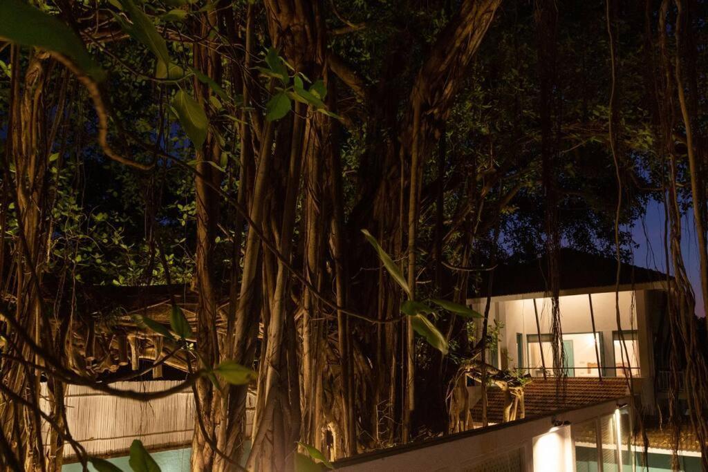White Banyan Beach Villa, Candolim By The Acacia Villas エクステリア 写真