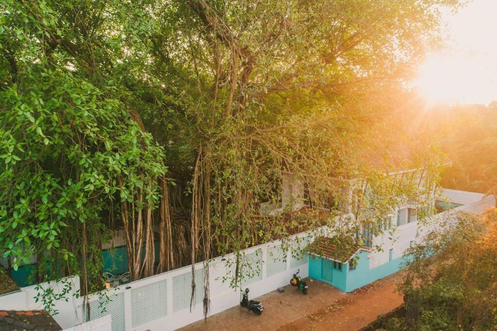 White Banyan Beach Villa, Candolim By The Acacia Villas エクステリア 写真